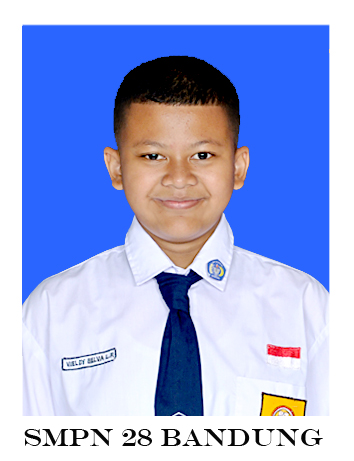 Vieldy-2